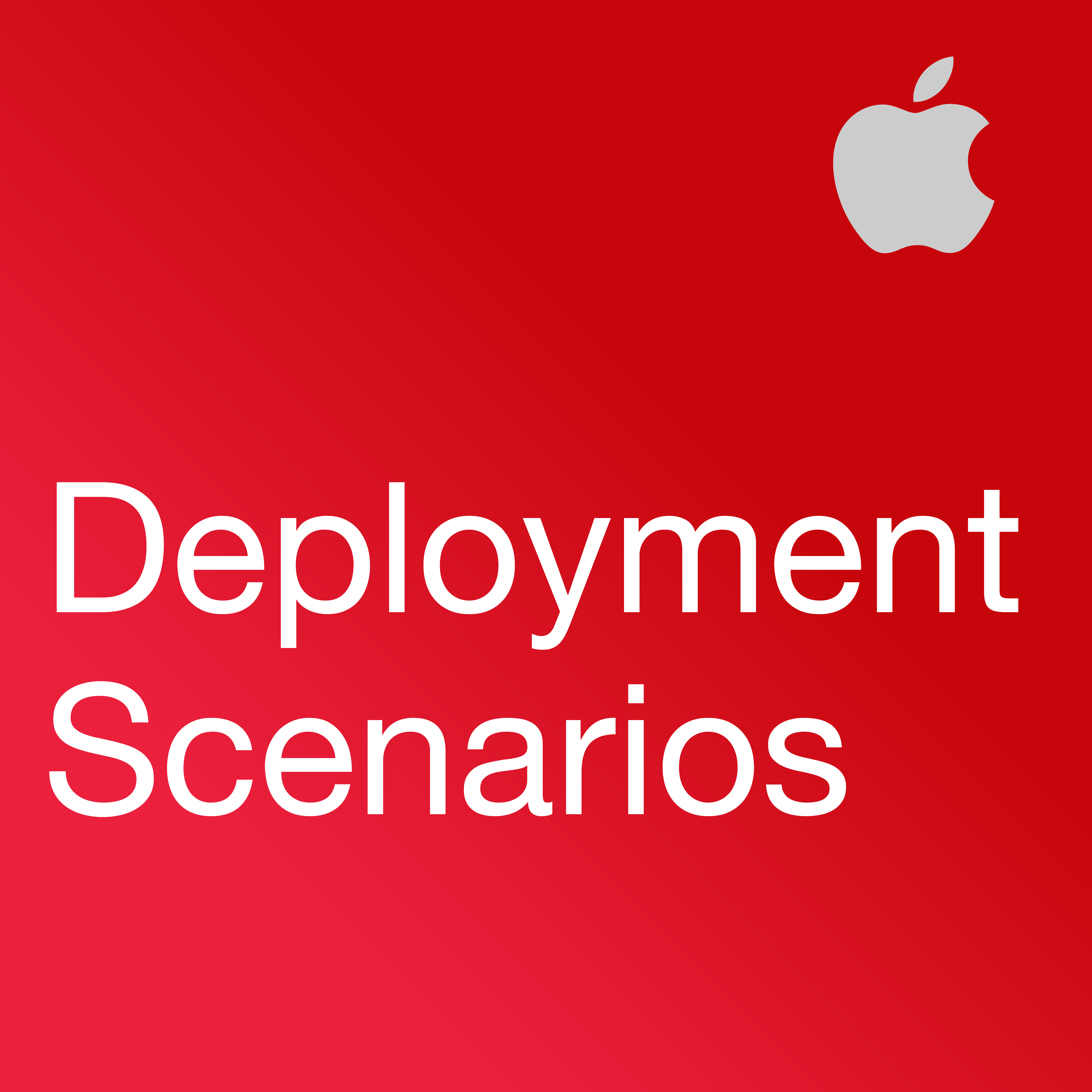 iPad in Business: Deployment Scenarios